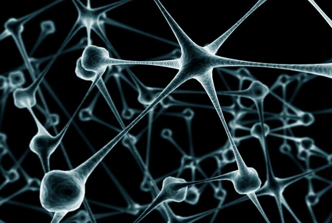 neuronas_cerebrales