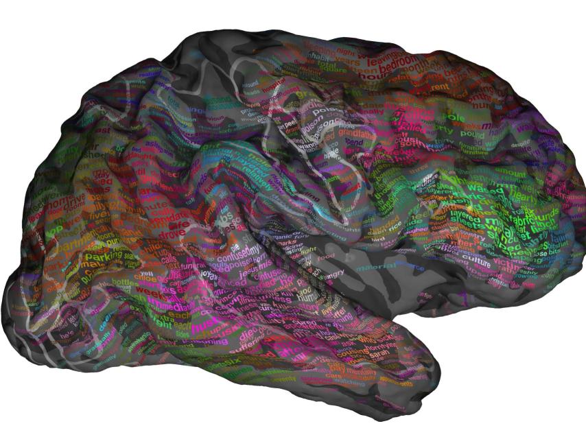 El atlas semántico elaborado por los investigadores.