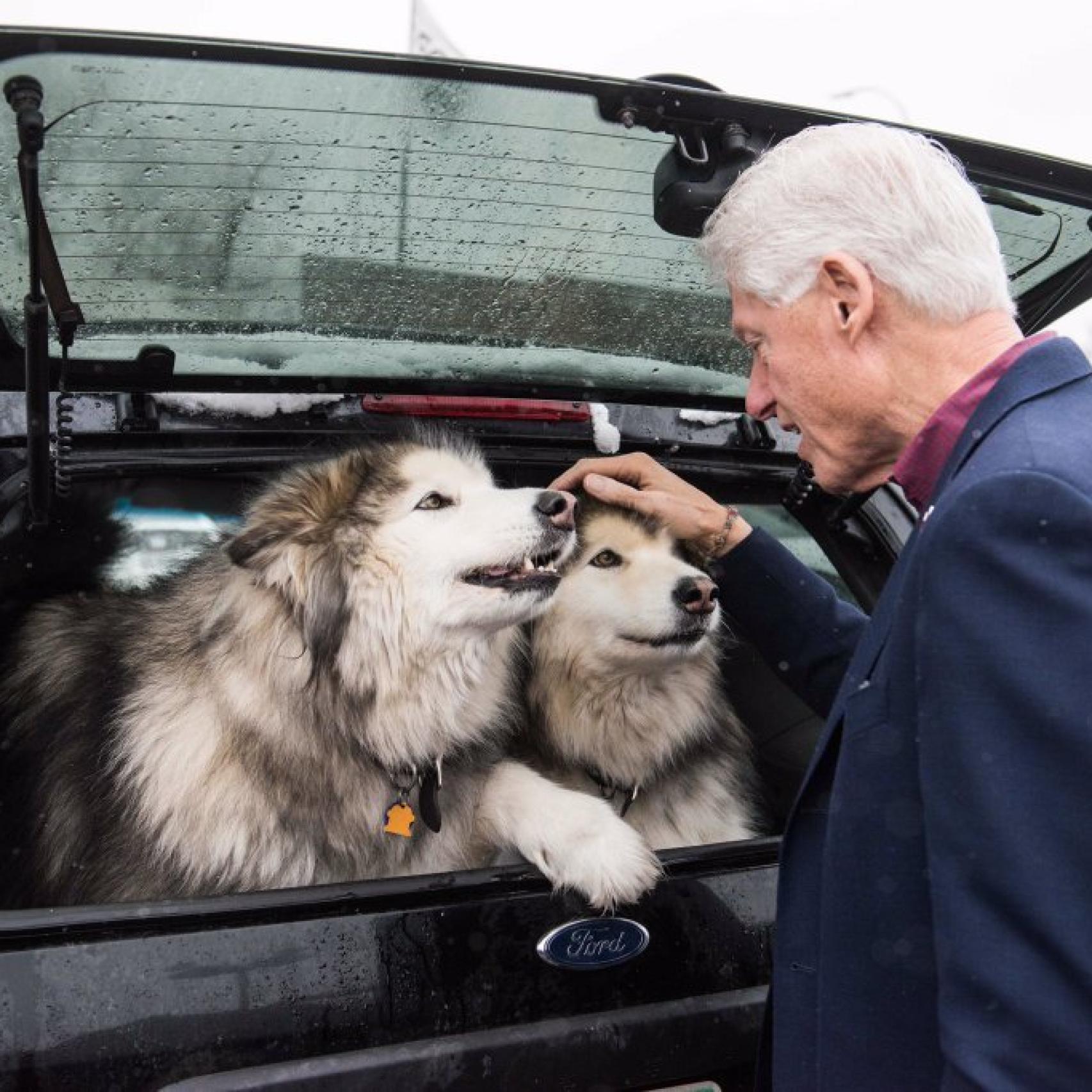 Bill Clinton con sus perros huskies