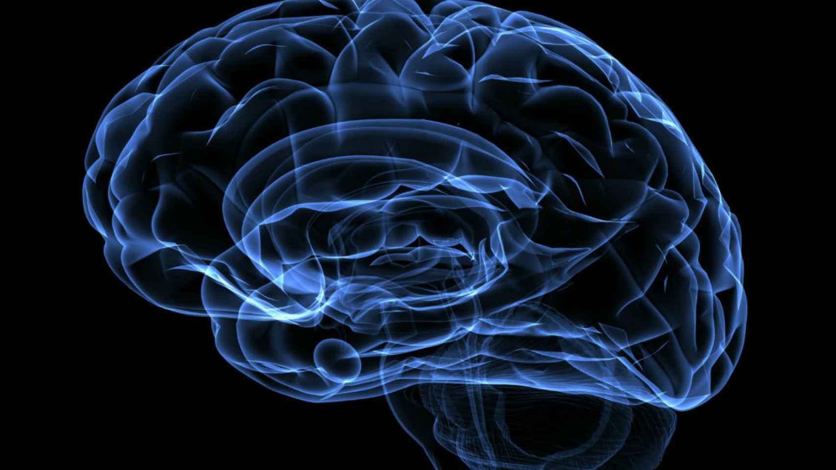 Imagen de un cerebro realizada a través de una prueba diagnóstica.