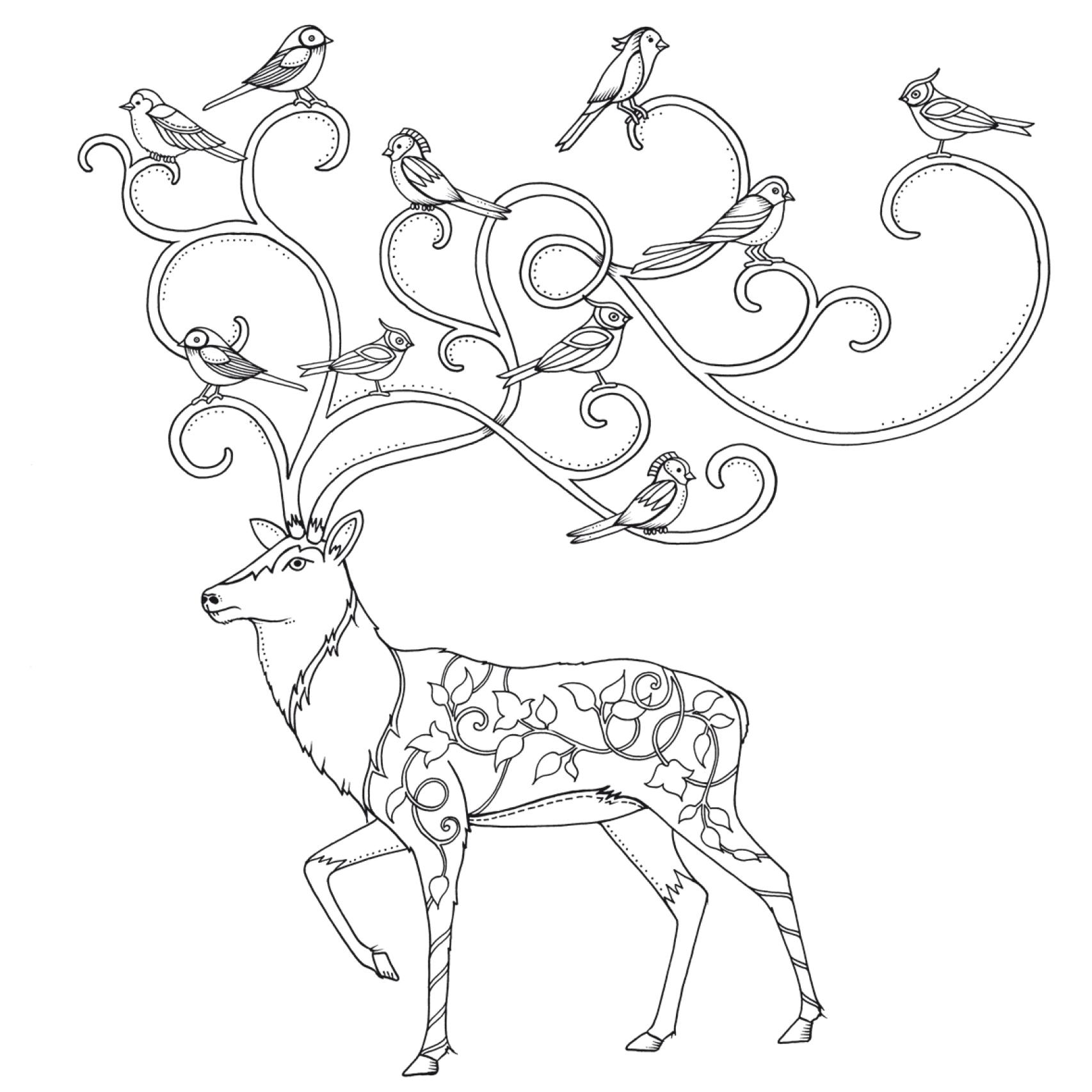 Ilustración para colorear de El bosque encantado.