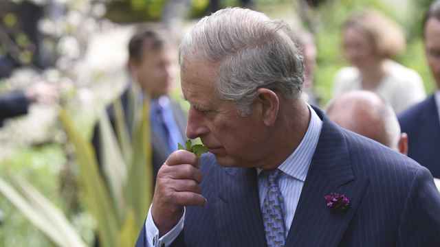 El Príncipe Carlos huele una planta en el Glenveagh National Park.