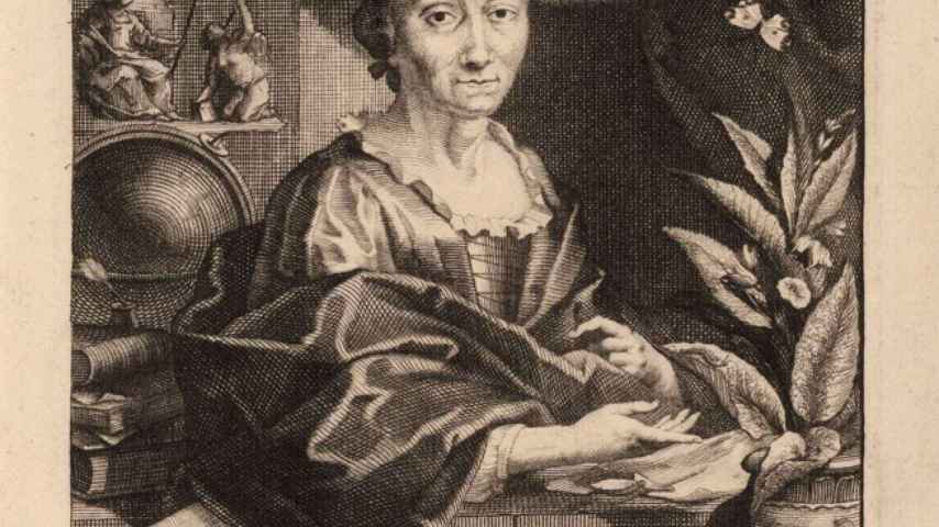 Maria Sibylla en un retrato de Jacob Houbraken.