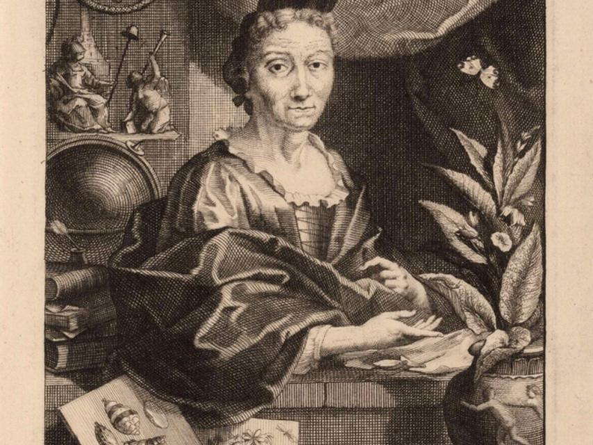 Maria Sibylla en un retrato de Jacob Houbraken.