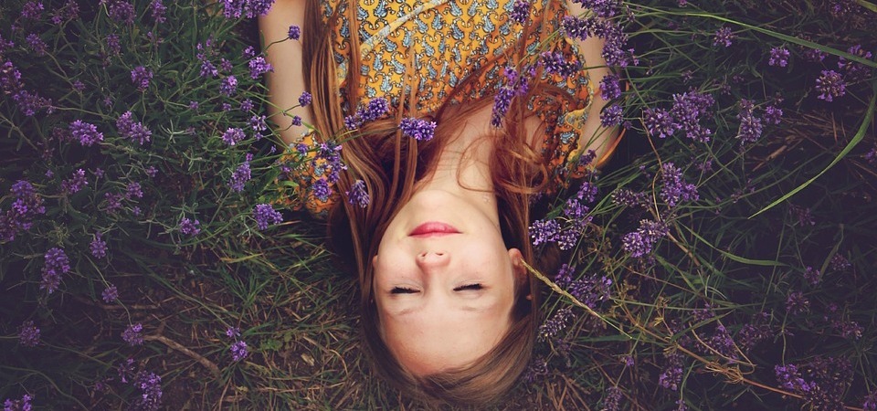 dormida