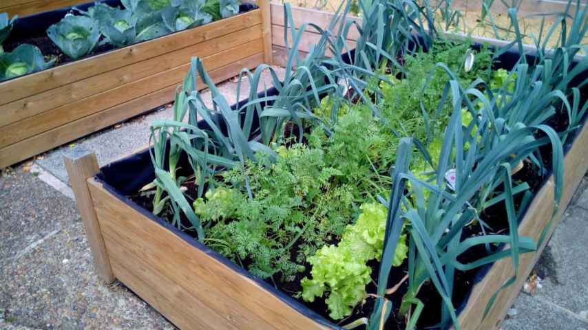 Jardineras forradas con plástico especial para el caso de huerto en patio o zona de solado. /