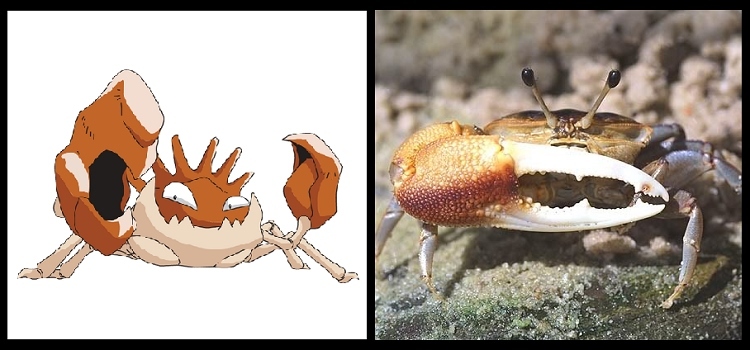 2 Cangrejos (2)