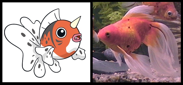 3 Peces (2)