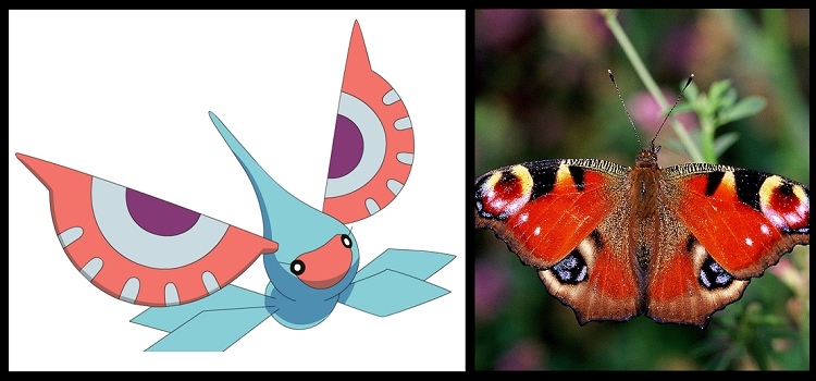6 Mariposas (2)