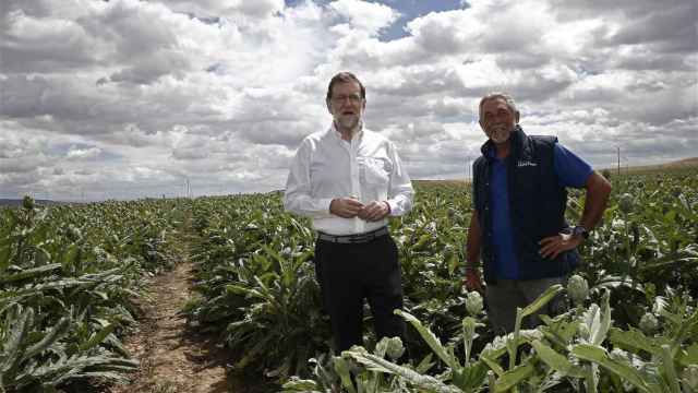 Mariano Rajoy, durante la visita que realizó el miércoles a la finca de cultivo de alcachofas Castel Ruiz.