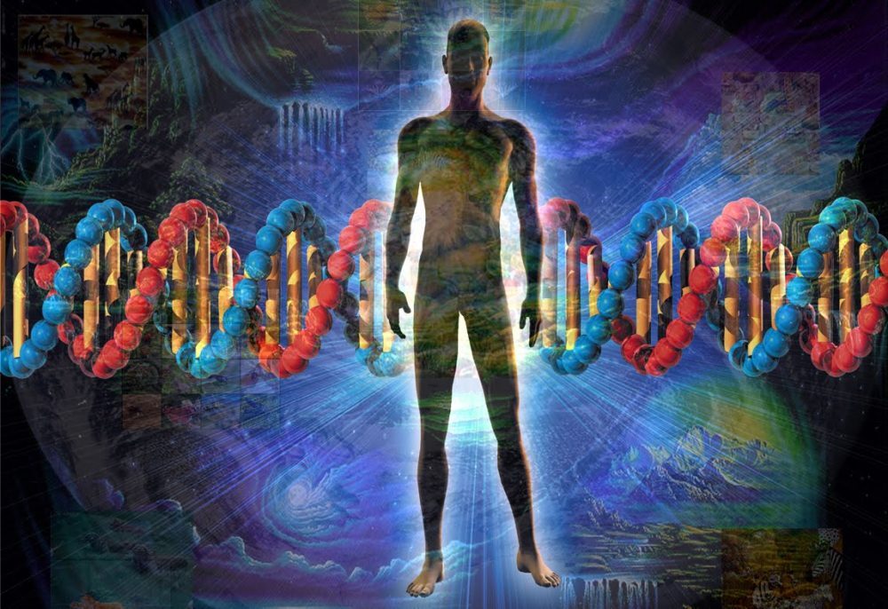 evolución genes