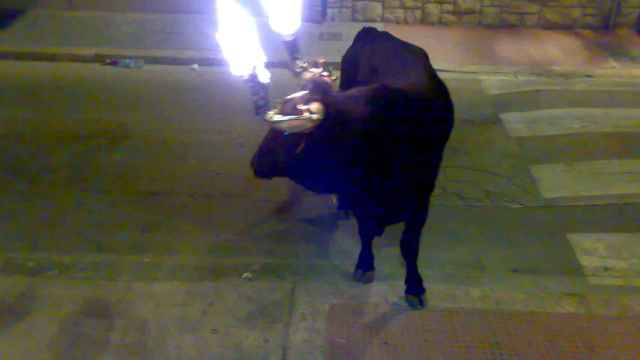 Un toro embolado en Godella (Valencia).