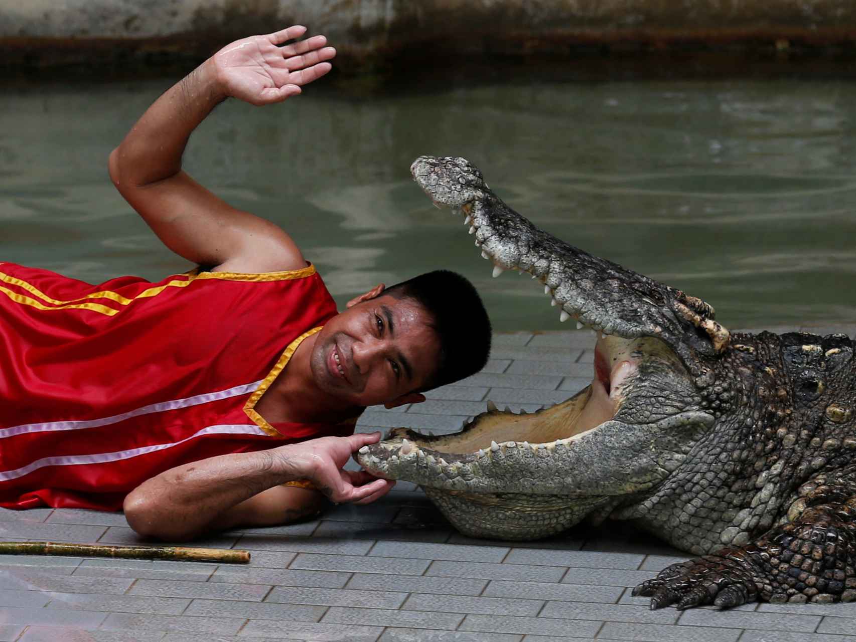 No, el Krokodil no ha llegado a España