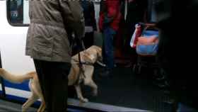 Los perros podrán viajar en el metro de Madrid