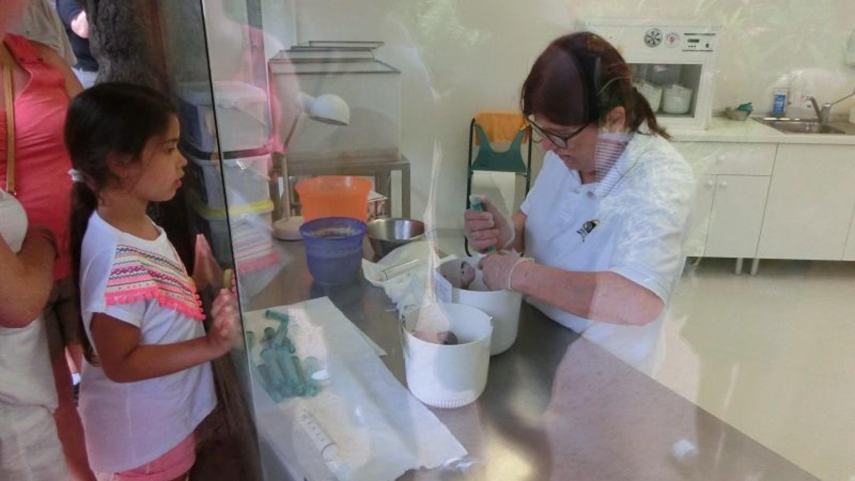 Instalaciones médicas de Loro Parque.