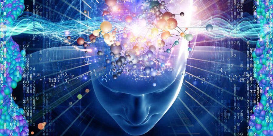 porcentaje-cerebro