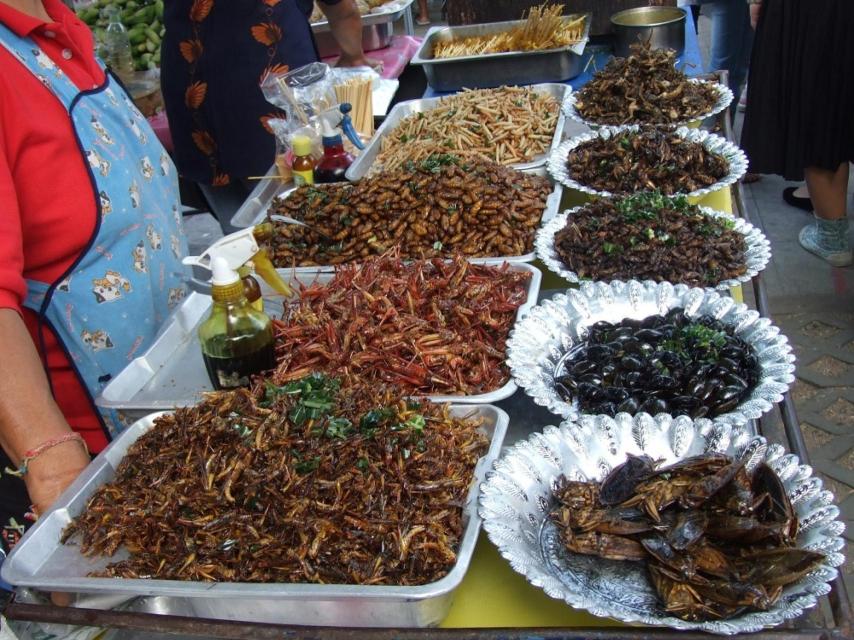 Mercado de insectos en Tailandia.