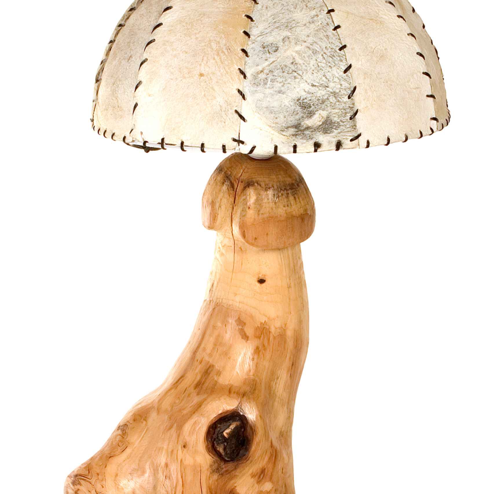 Una lámpara elaborada con falo de ballena.