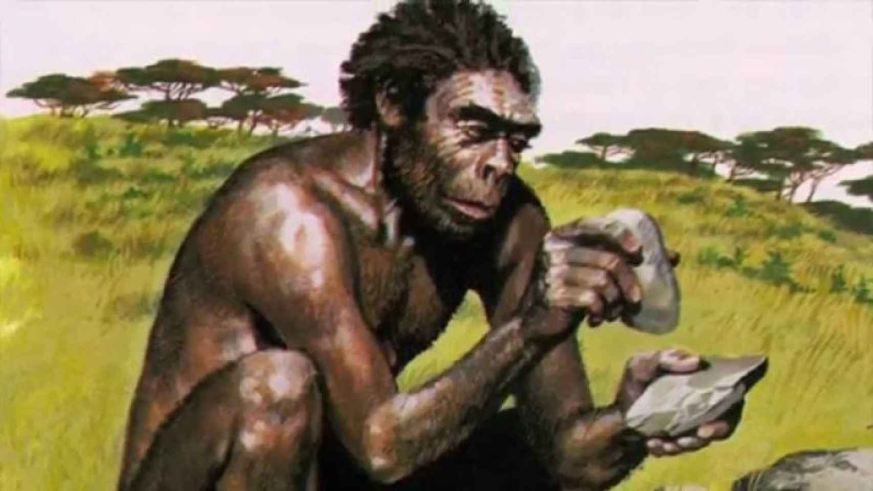 Первобытное мышление человека. Австралопитек питекантроп неандерталец. Хомо хабилис. Человек умелый неандерталец. Питекантроп Буриан.
