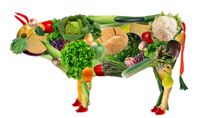 vegetarianos