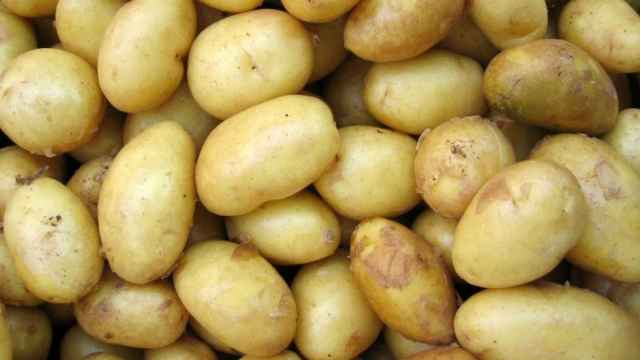 Patatas, un alimento con injustificada mala fama.