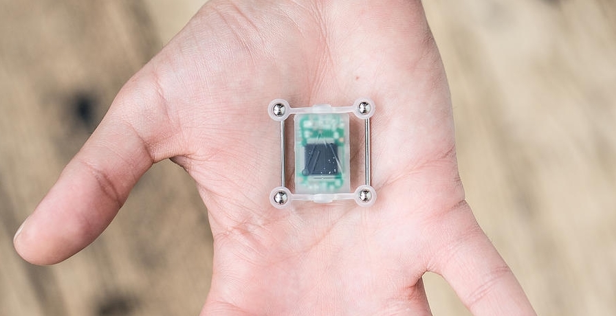sensor ciborg