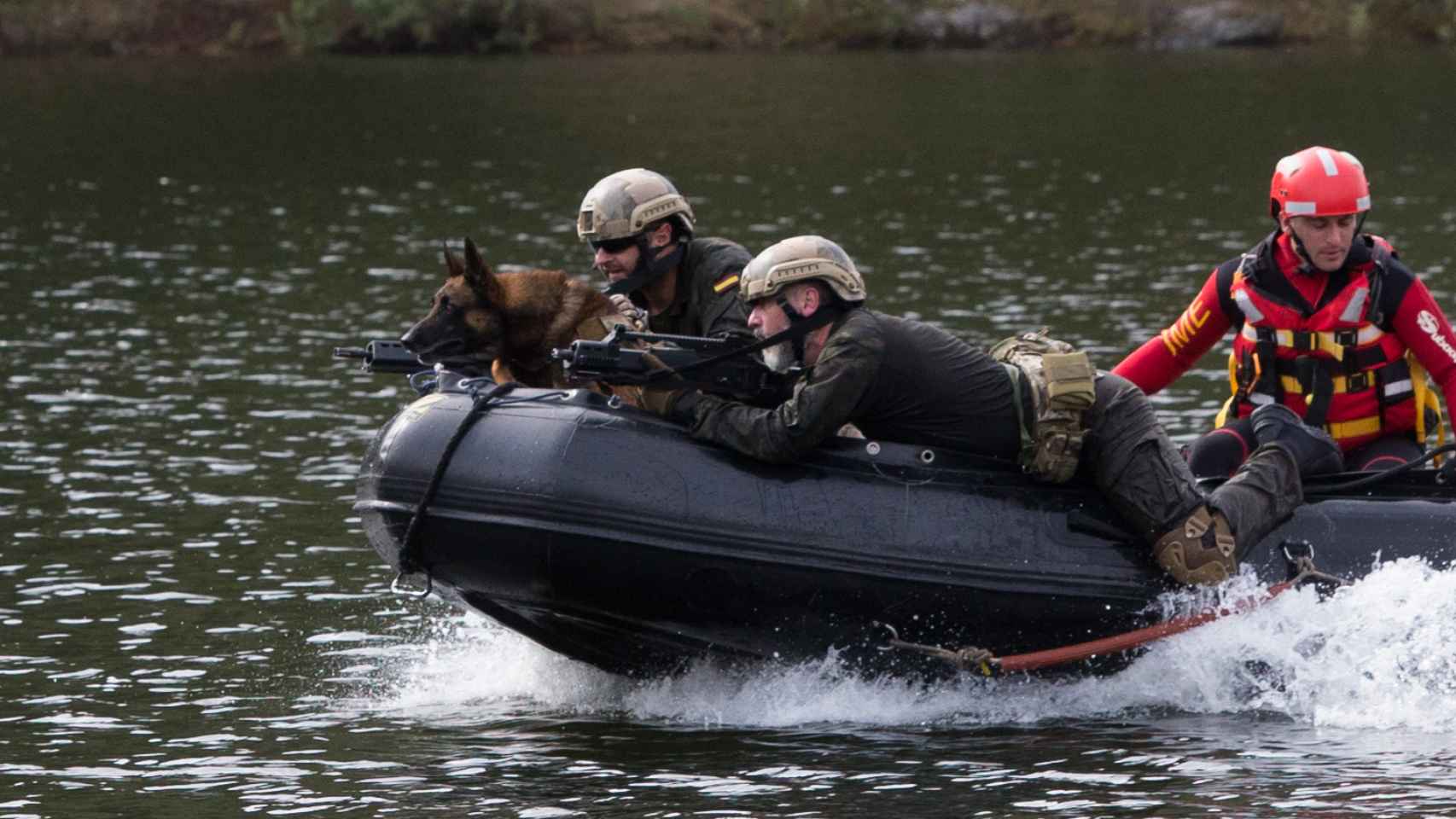 Ejercicio realizado con un perro soldado del Ejército.