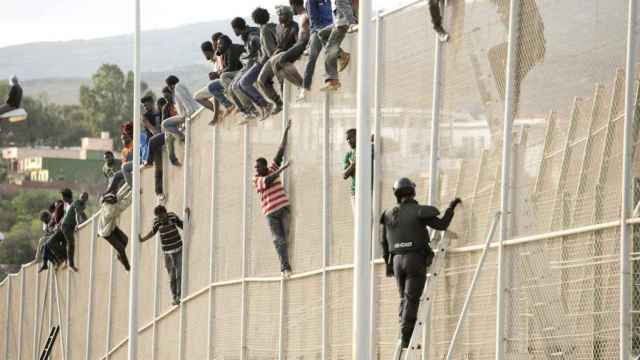 Algunos migrantes intentan escalar la valla de Melilla.