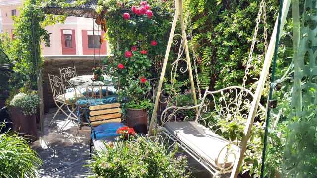 Un jardín en plena capital te espera en la terraza de Salvador Bachiller.
