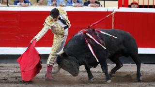 TOROS BILBAO