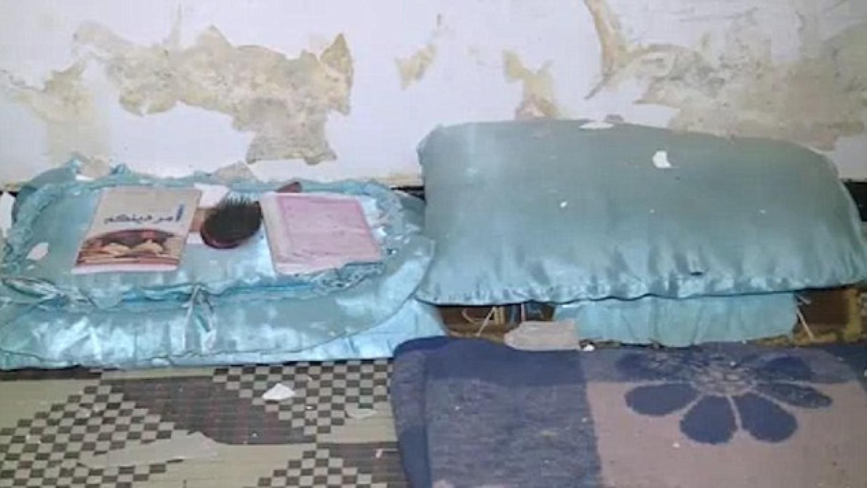 Imagen del vídeo difundido por Arab24