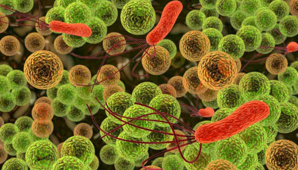 microbios