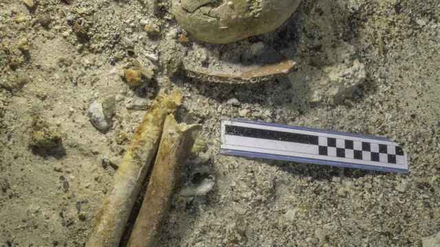Restos de los huesos encontrados en el barco de Anticitera.