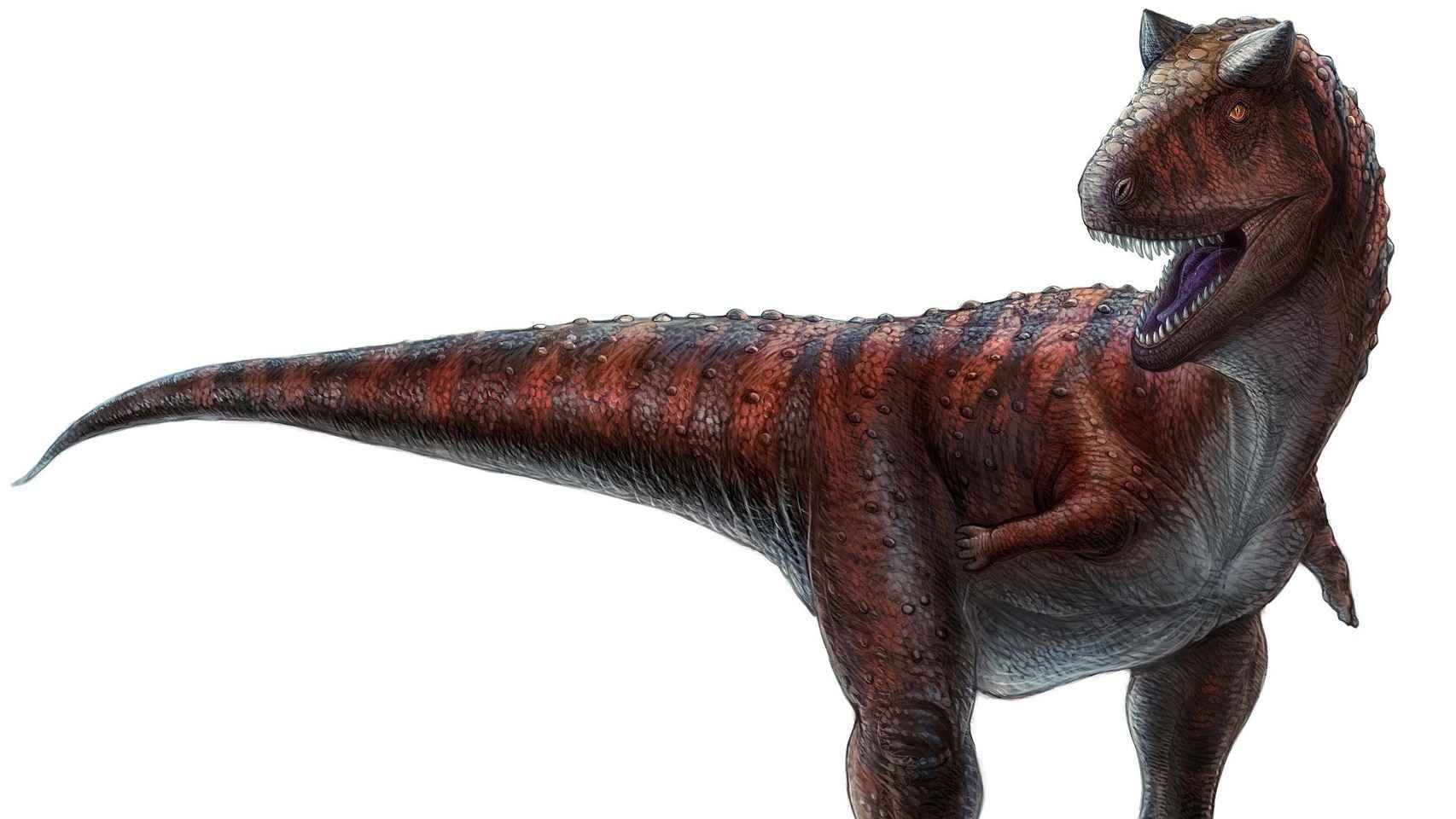 No es la sonrisa lo que hace 'sexy' a un dinosaurio, son los cuernos