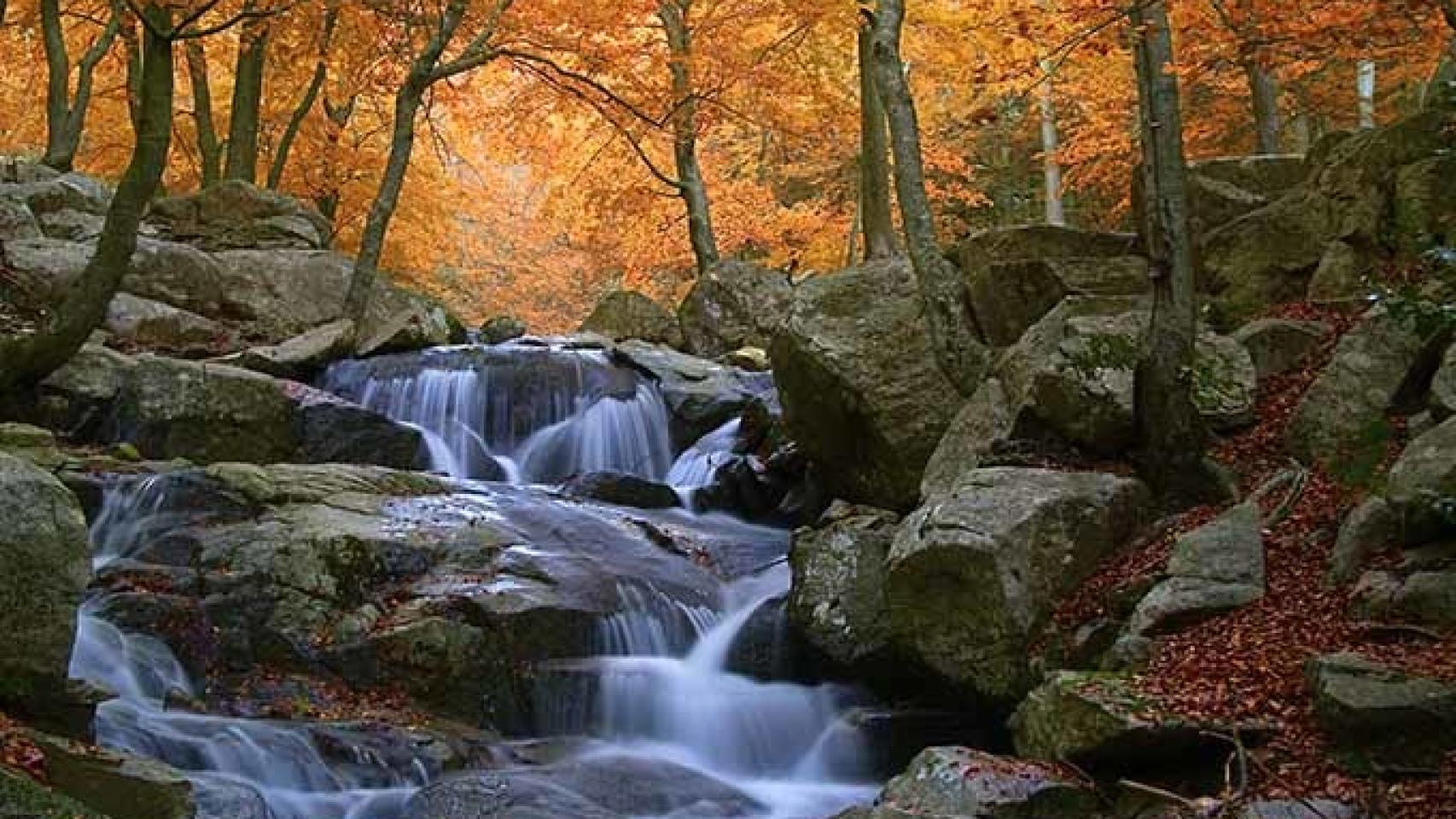 Parque Natural del Montseny.