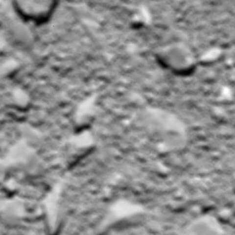 rosetta-4