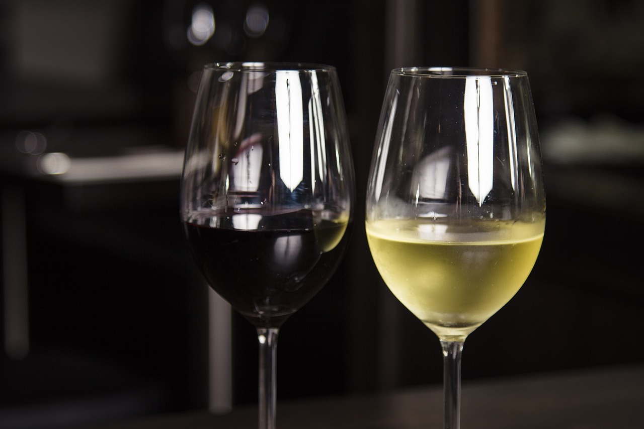 intro-vinos