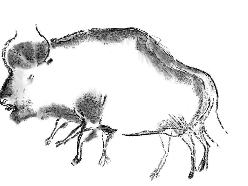 Reproducción de un bisón de la estepa en la cueva de Chauvet-Pont d’Arc.