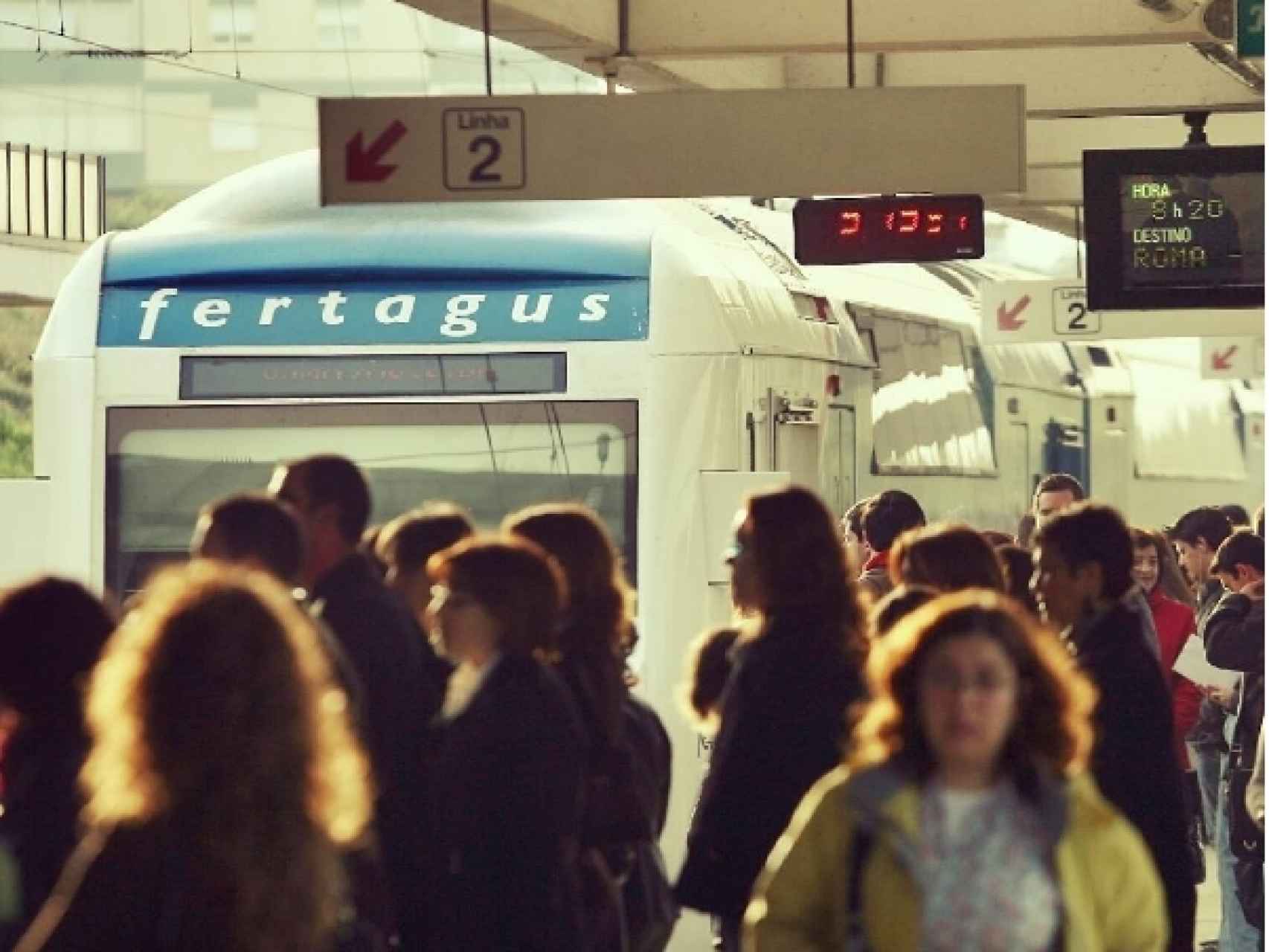 Al menos 51 trenes de la empresa Fertagus se han visto afectados este año.