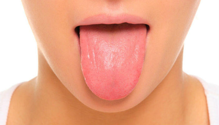 lengua
