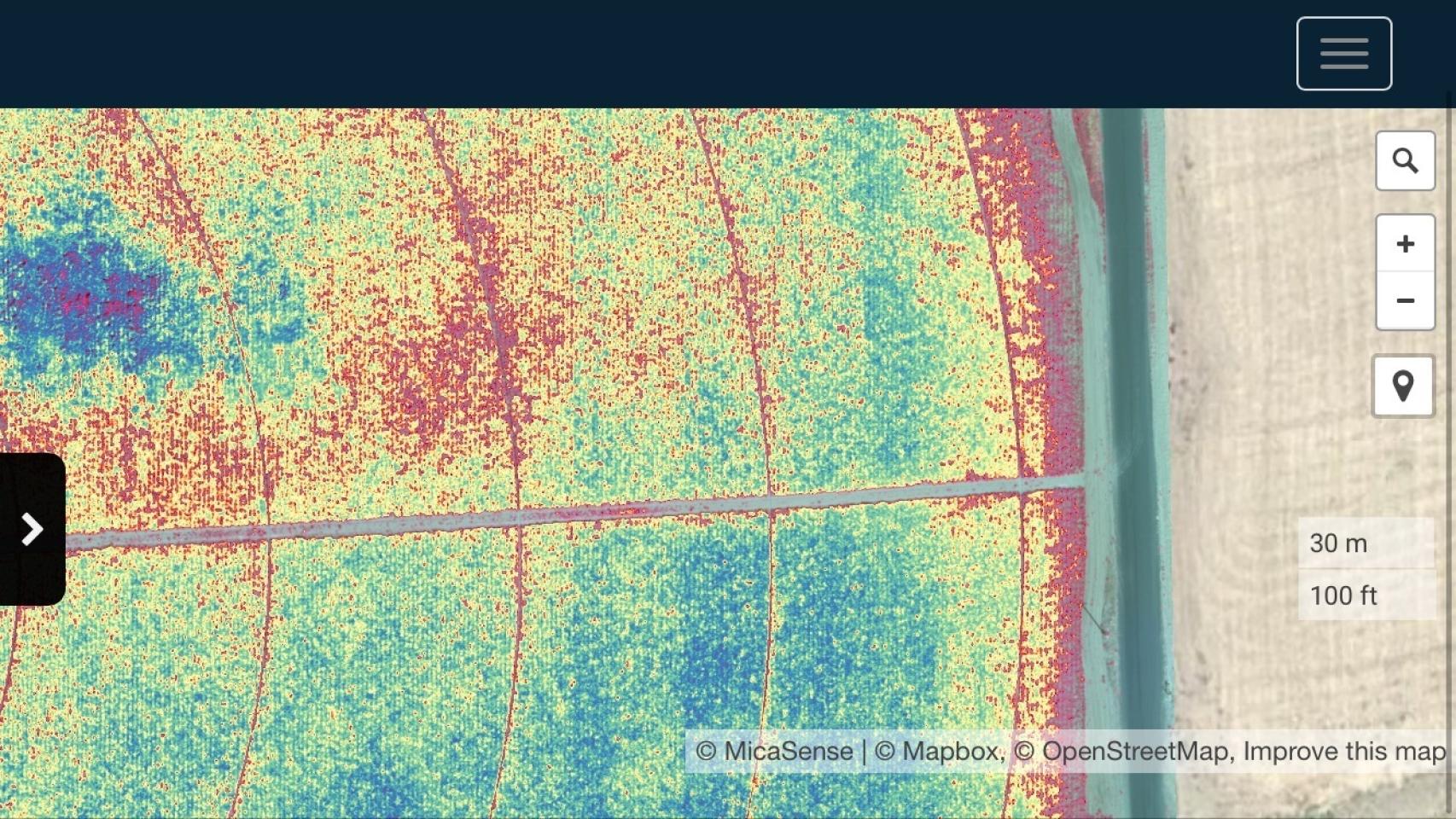 Imagen analizando un cultivo de maíz.