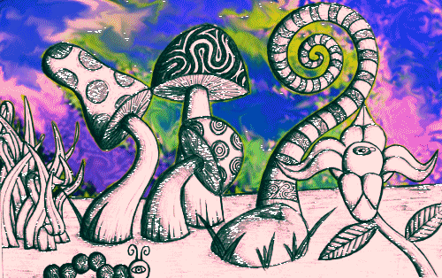 hongos