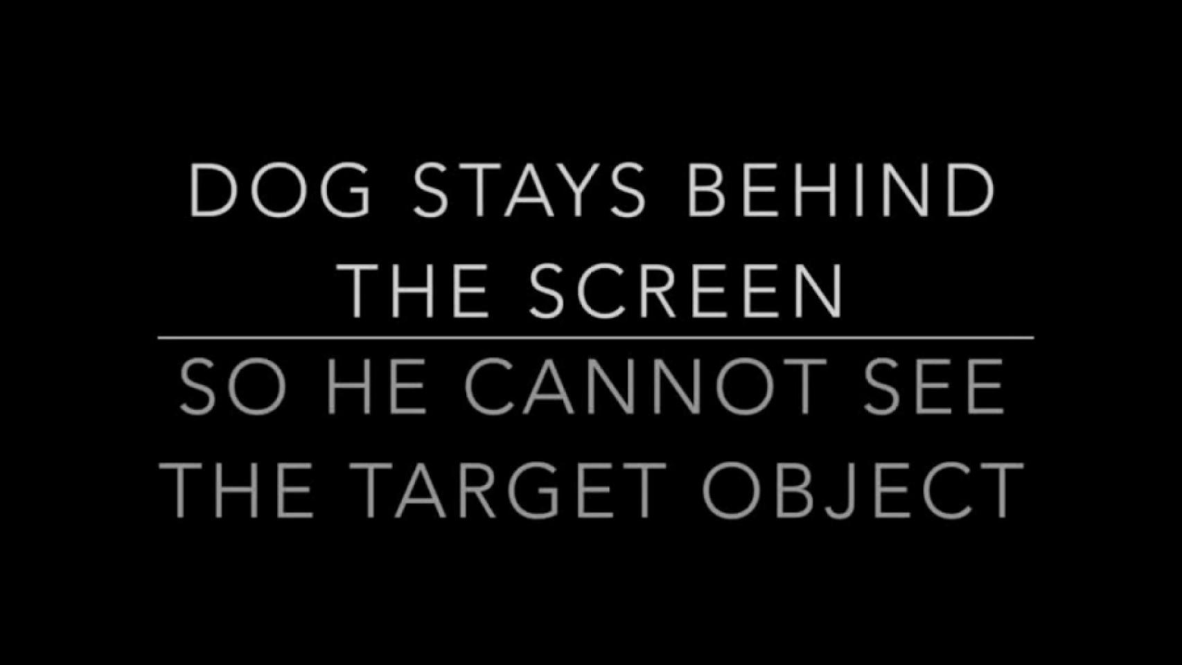EpisodicLike Memory in Dogs