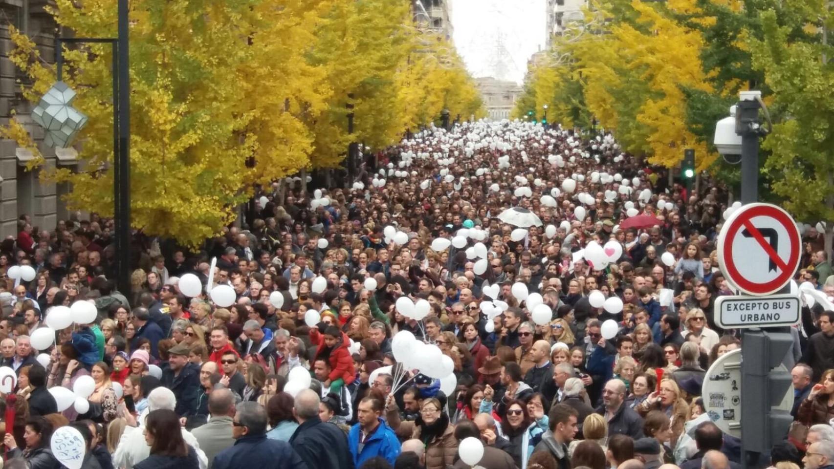 Imagen de la protesta en las calles granadinas.