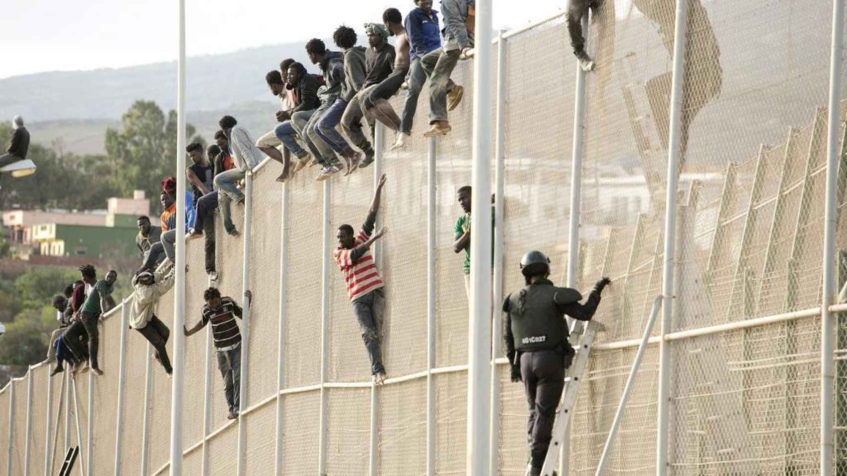 Algunos migrantes intentan escalar la valla de Melilla.