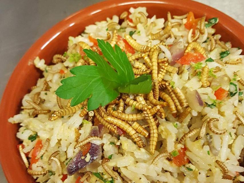 Arroz con frijoles y bichos variados.