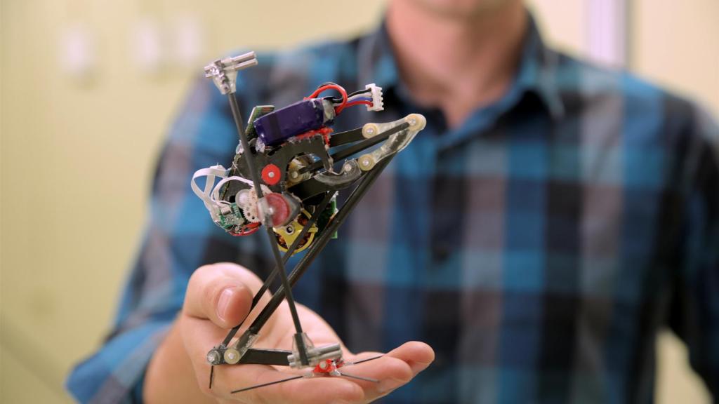 Robot Salto.