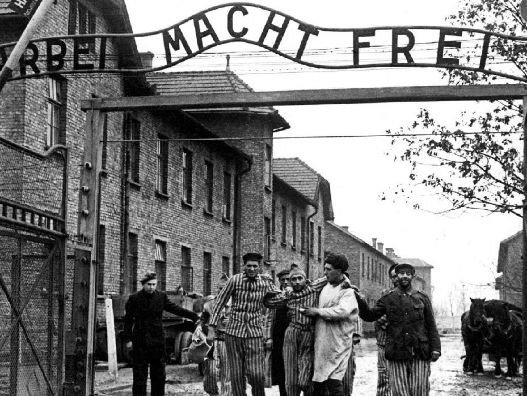 Enero de 1945, salida de los supervivientes del campo de Auschwitz tras su liberación.