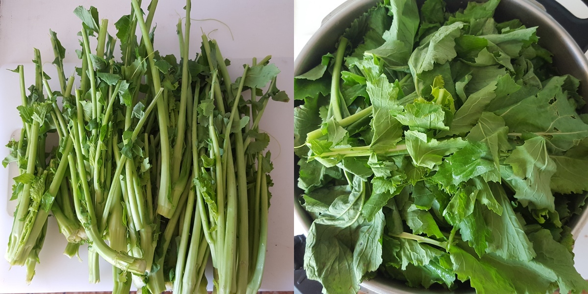 caldo-gallego-04