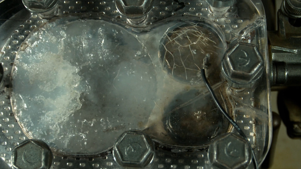 motor transparente 5